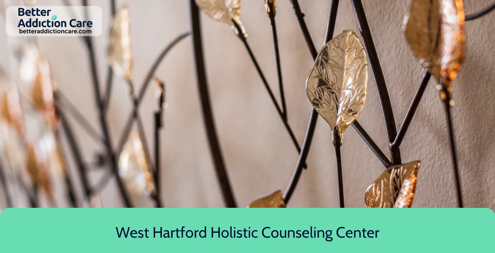 West Hartford Holistic 17 South Highland 1 West Hartford Holistic 17 South Highland 1
