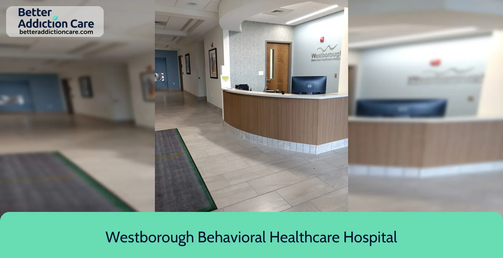 Westborough Behavioral Healthcare 300 Friberg Parkway 1 Westborough Behavioral Healthcare 300 Friberg Parkway 1