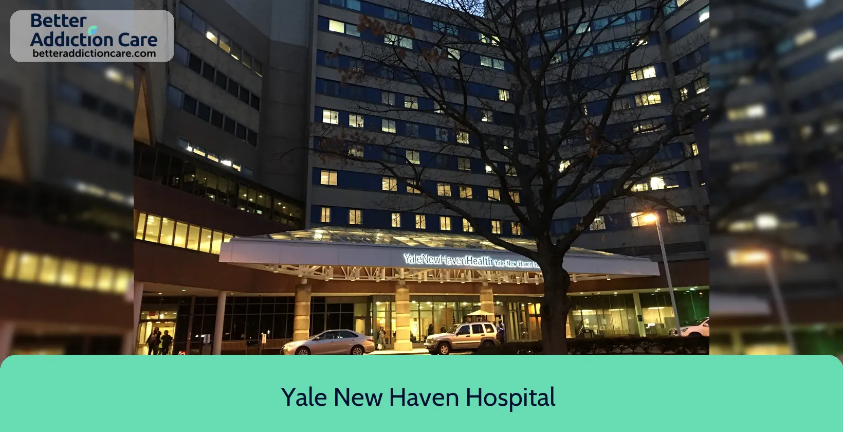 Yale New Haven 20 York Street 1 Yale New Haven 20 York Street 1