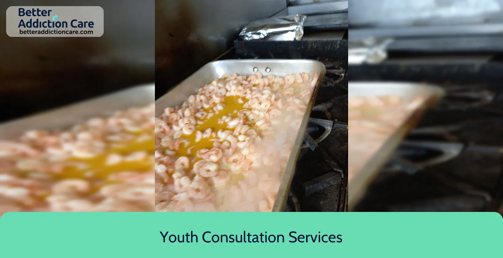 Youth Consultation Services 284 Broadway 1 Youth Consultation Services 284 Broadway 1